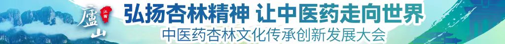 日逼操死爽哭中医药杏林文化传承创新发展大会